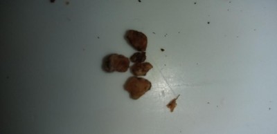 20200508_013911.jpg (18.69 KiB) Osservato 500 volte 20200508_013911.jpg