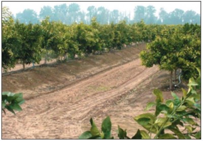berms.JPG (60.74 KiB) Osservato 679 volte berms.JPG