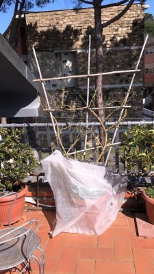 09024e85-6ca8-46f0-923a-b060da9b12be.jpg (117.24 KiB) Osservato 703 volte 09024e85-6ca8-46f0-923a-b060da9b12be.jpg