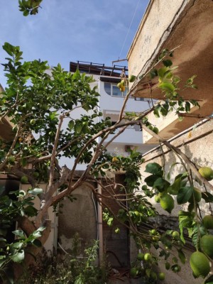 secco.jpeg (144.76 KiB) Osservato 788 volte secco.jpeg