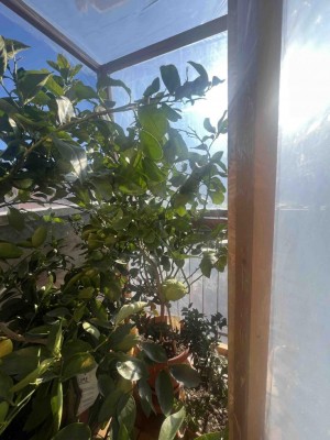 IMG_5692_low.jpg (113.01 KiB) Osservato 66 volte IMG_5692_low.jpg