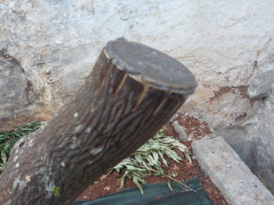 P1060641.JPG (106.93 KiB) Osservato 2998 volte P1060641.JPG