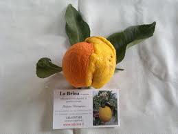 images.jpg images.jpg