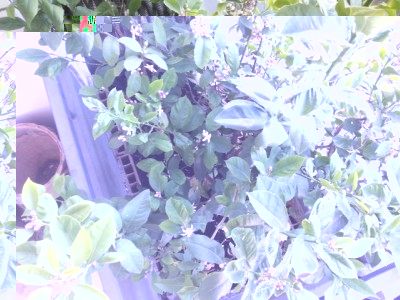 giugno 2014 04 / 20140605_171219.jpg 20140605_171219.jpg