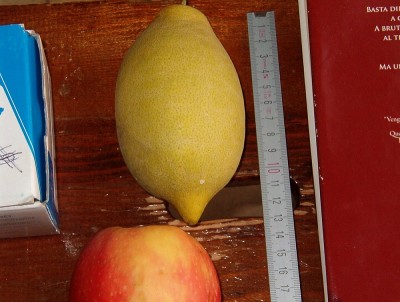 IM002856.JPG (187.1 KiB) Osservato 4969 volte IM002856.JPG