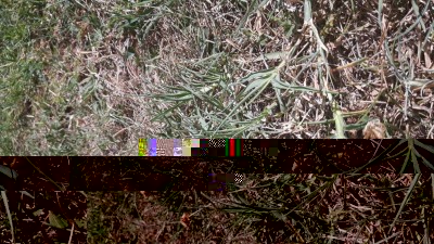 20170726_104145.jpg (190.65 KiB) Osservato 3126 volte 20170726_104145.jpg