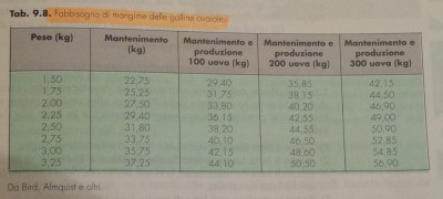 ovaiole.jpg (101.08 KiB) Osservato 1248 volte ovaiole.jpg