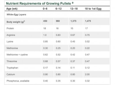 image.jpg (53.13 KiB) Osservato 5465 volte image.jpg