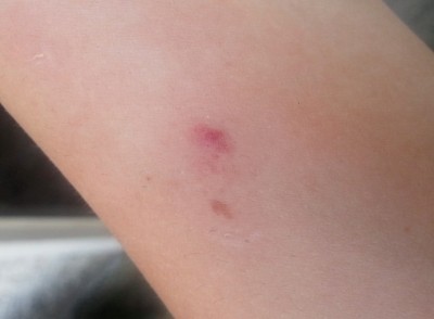 una sua beccata -.- / WP_20150415_001.jpg WP_20150415_001.jpg