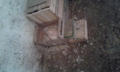 20160603_155444.jpg (73.09 KiB) Osservato 1030 volte 20160603_155444.jpg