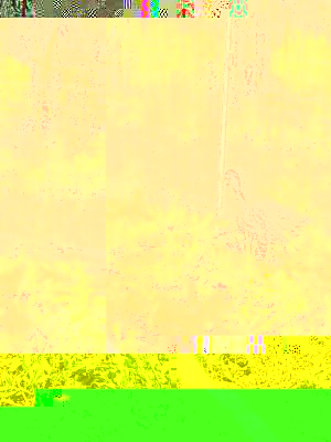 IMG_20160621_151545790.jpg (232.04 KiB) Osservato 658 volte IMG_20160621_151545790.jpg