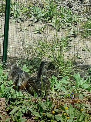 IMG_20160621_151610844.jpg (145.55 KiB) Osservato 658 volte IMG_20160621_151610844.jpg