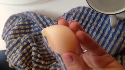 IMG_8952.JPG (70.25 KiB) Osservato 756 volte IMG_8952.JPG