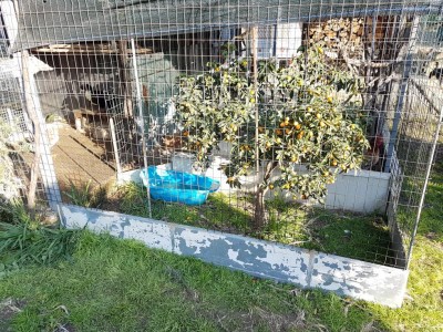 20180128_150522.jpg (273.63 KiB) Osservato 737 volte 20180128_150522.jpg