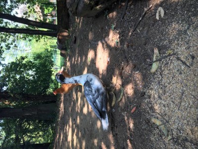 IMG_9748.JPG (209.92 KiB) Osservato 566 volte IMG_9748.JPG