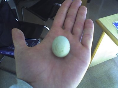 23-02-11_0944.jpg (70.46 KiB) Osservato 1042 volte 23-02-11_0944.jpg