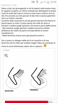 Screenshot_2020-05-25-22-09-27.png (359.02 KiB) Osservato 649 volte Screenshot_2020-05-25-22-09-27.png
