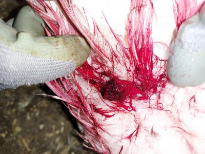 20211221_133900.jpg (125.63 KiB) Osservato 600 volte 20211221_133900.jpg