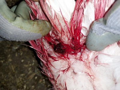 20211221_133854.jpg (123.07 KiB) Osservato 600 volte 20211221_133854.jpg