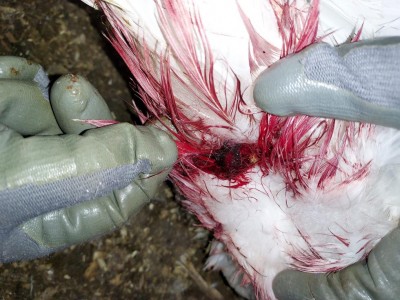 20211221_133646.jpg (128.64 KiB) Osservato 600 volte 20211221_133646.jpg