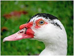 imagesCAMXBP4S.jpg imagesCAMXBP4S.jpg