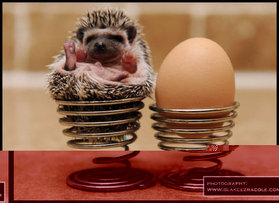 u2tc.jpg (53.74 KiB) Osservato 2156 volte u2tc.jpg