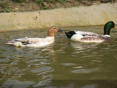 Carla e Alessio / Carla e Alessio-IMG_2975.jpg Carla e Alessio-IMG_2975.jpg