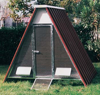 gabbie_per_polli_e_pollai_1.jpg gabbie_per_polli_e_pollai_1.jpg