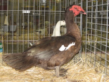 8074991.jpg 8074991.jpg