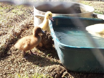 Da piccole / 20120529_092738.jpg 20120529_092738.jpg