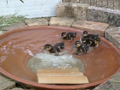 questa è di quando li ho presi!! / 04062012647.jpg 04062012647.jpg