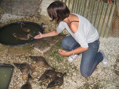 Immagine 072bis.JPG (113.17 KiB) Osservato 1151 volte Immagine 072bis.JPG