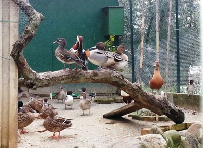 20130109_134610.jpg (335.2 KiB) Osservato 897 volte 20130109_134610.jpg