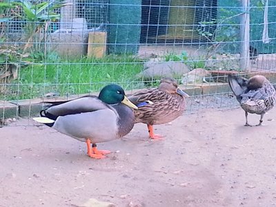 Seee.. Bonanotteeee... / 20121016_181921.jpg 20121016_181921.jpg