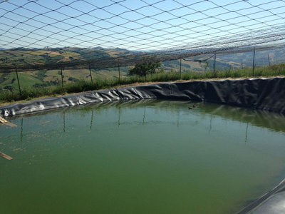 lago.jpg (143.2 KiB) Osservato 4305 volte lago.jpg