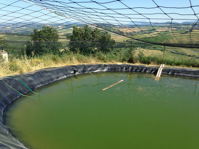 lago2.jpg (185.76 KiB) Osservato 4305 volte lago2.jpg