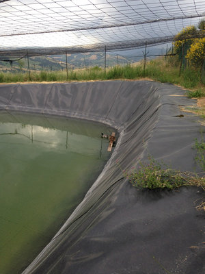 lago7.jpg (157.08 KiB) Osservato 1084 volte lago7.jpg