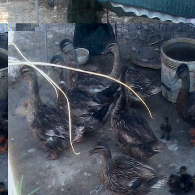 2013-07-16 17.33.13.jpg (152.52 KiB) Osservato 655 volte 2013-07-16 17.33.13.jpg