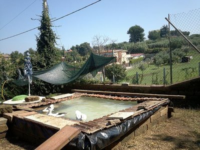 2013-07-22-1296-800.JPG (122.97 KiB) Osservato 2846 volte 2013-07-22-1296-800.JPG