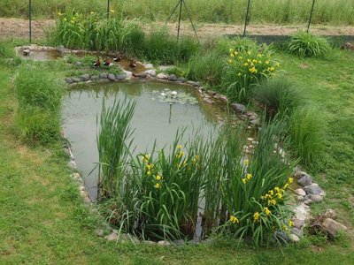 laghetto.agra.jpg (89.73 KiB) Osservato 11008 volte laghetto.agra.jpg