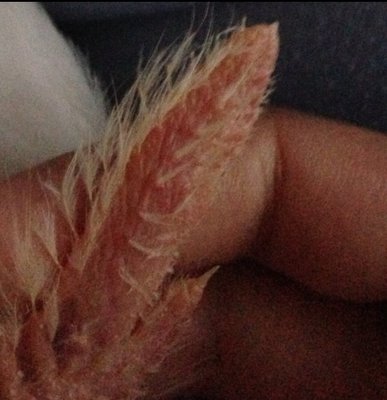 image.jpg (111.03 KiB) Osservato 985 volte image.jpg