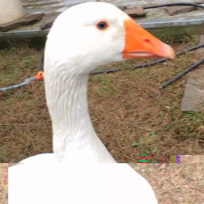 William / image.jpg image.jpg