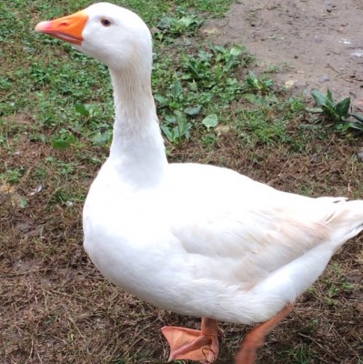 Kate / image.jpg image.jpg