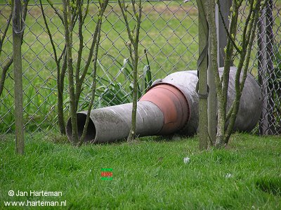 eend06.jpg eend06.jpg