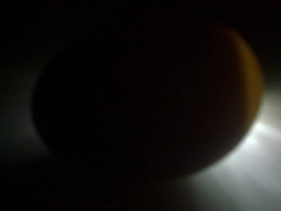 30032014453 (FILEminimizer).jpg (9.28 KiB) Osservato 574 volte 30032014453 (FILEminimizer).jpg