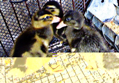 foto di gruppo / foto.jpg foto.jpg