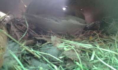 Foto0276.jpg Foto0276.jpg