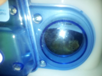 IMG_20140413_083749.jpg (95.59 KiB) Osservato 774 volte IMG_20140413_083749.jpg