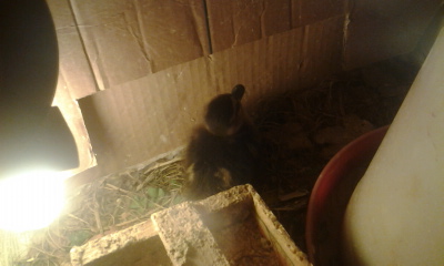 Foto0280.jpg Foto0280.jpg