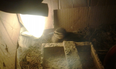 Foto0281.jpg Foto0281.jpg